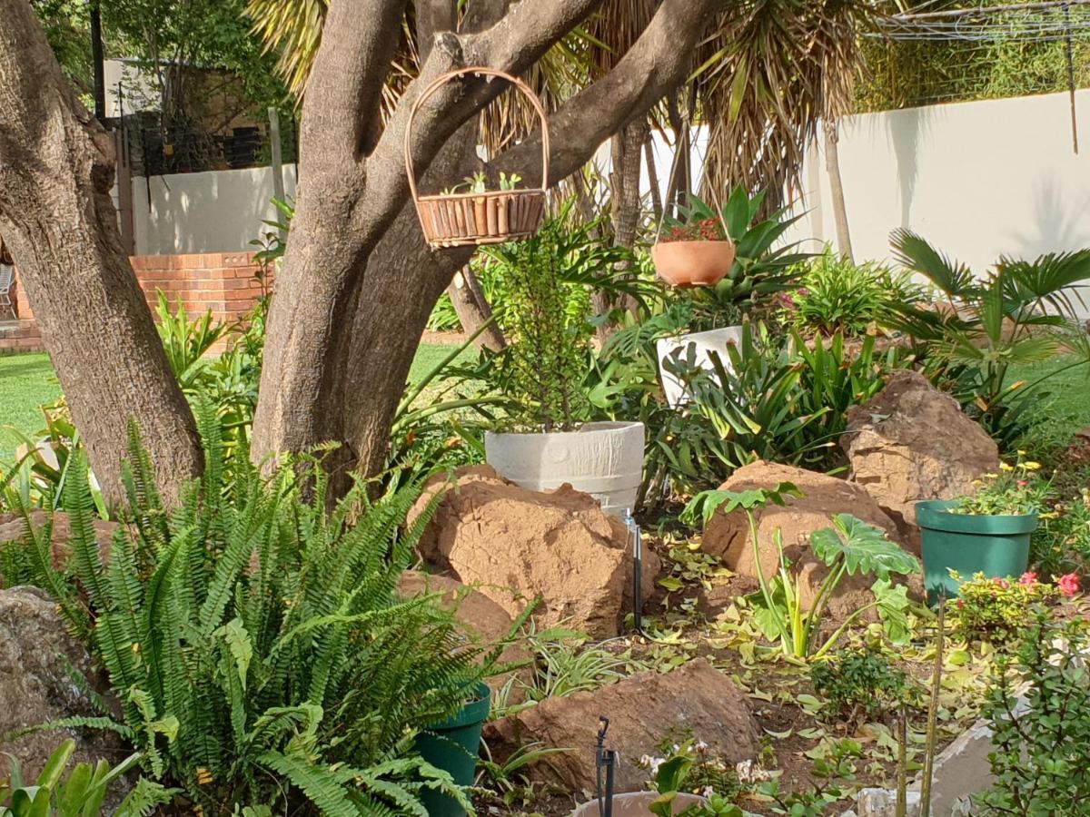 Elephant Bush Guest Cottage Alberton Exterior photo