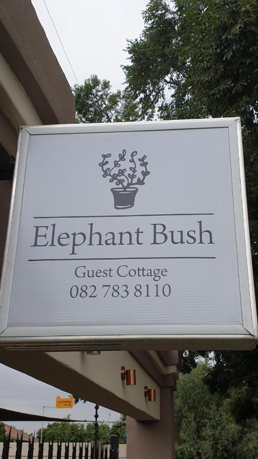 Elephant Bush Guest Cottage Alberton Exterior photo